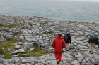 Exposures along margins of country road R477 of Dinantian Burren Limestone Formation. These Carboniferous limestons are composed of shallow water carbonates. Note the clints (limestone blocks) and grikes (joints and fractures) extensively enlarged by Pleistocene dissolution. Topography almost devoid of vegetation, though when it occurs it fills prominent grikes.